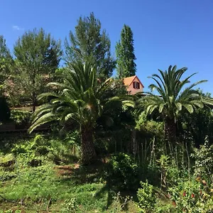  Ferienhaus Casa D'olivia